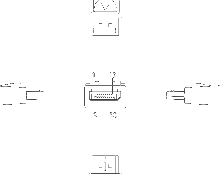 DisplayPort